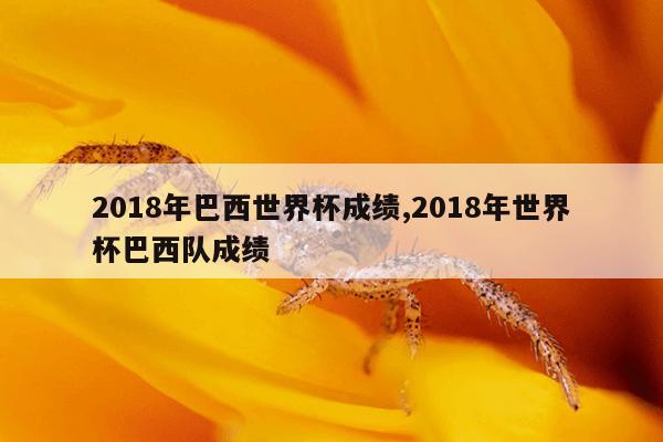 2018年巴西世界杯成绩,2018年世界杯巴西队成绩-第1张图片-江南体育app平台下载最新版(中国)官方网站ios/安卓通用版/手机app